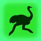 Маркет Деливери: еда, продукты